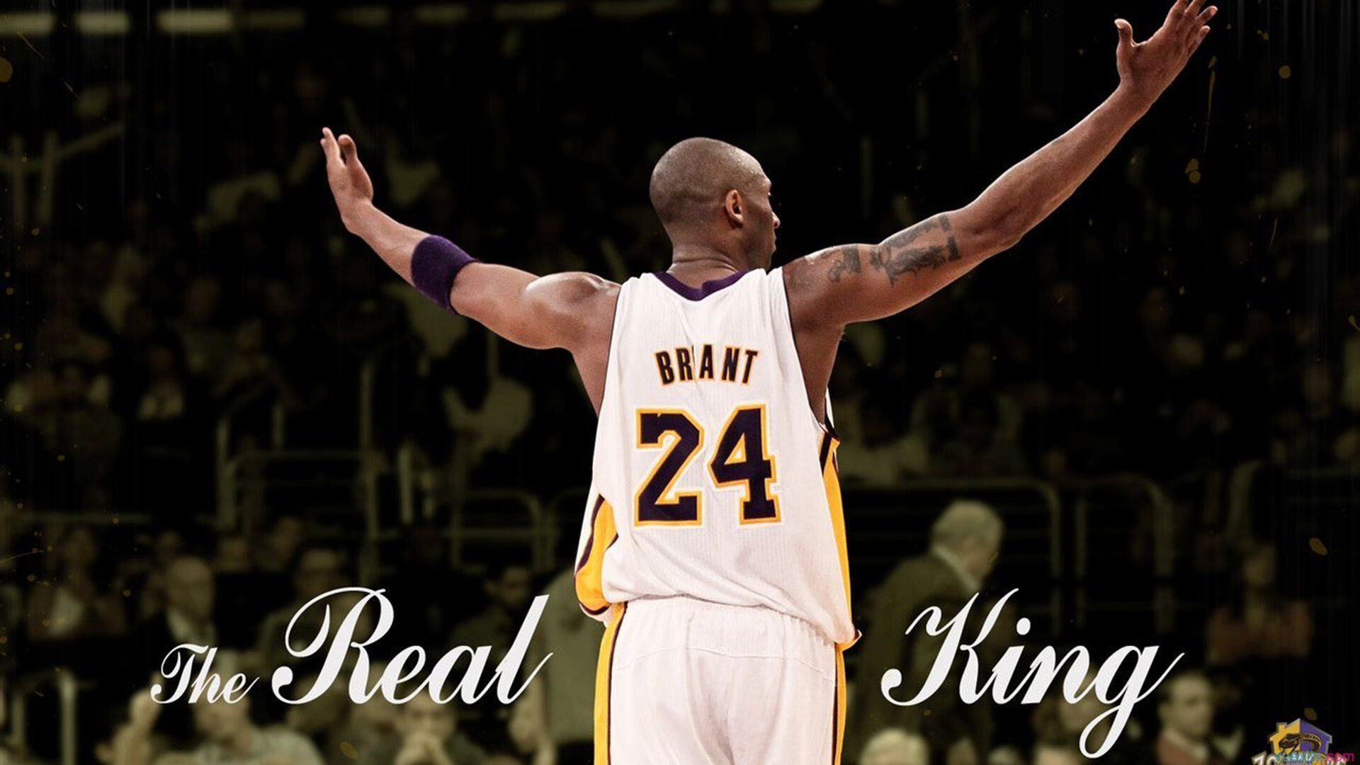 开yun官网-数据狂魔：联盟中的统计达人和他们的分析报告，数据 统计